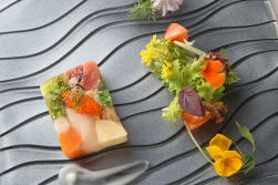 ����Ɩ�؂̃e���[�k